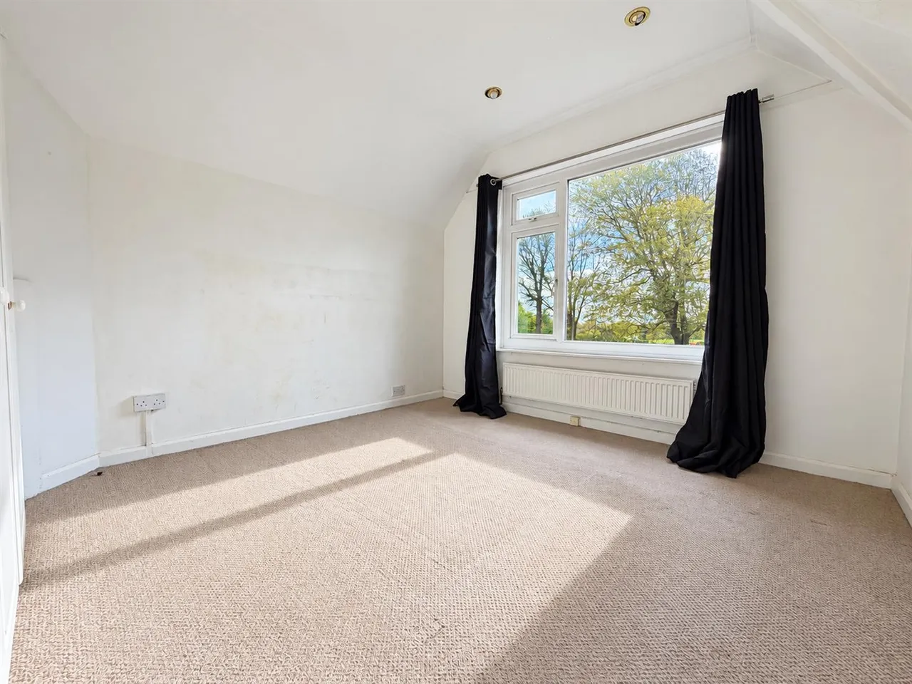 Wartling Road, Eastbourne, BN22, photo 13
