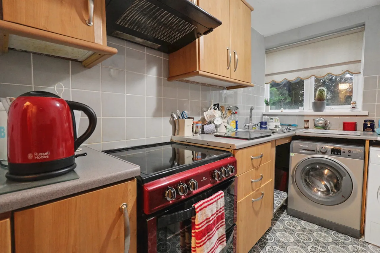 Glenwood, Cardiff, photo 6