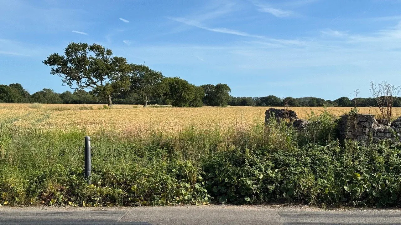 Lockgate Road, Sidlesham Common, PO20, photo 26