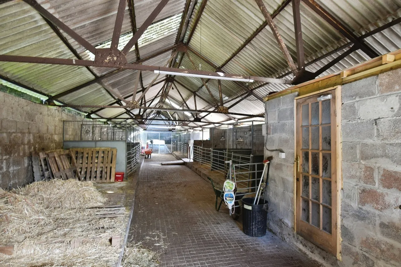 Maesybont, Llanelli, SA14, photo 49