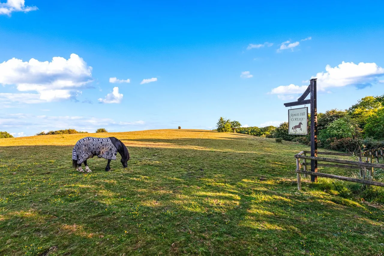 Rawn Hill Cottage, Mancetter, photo 15