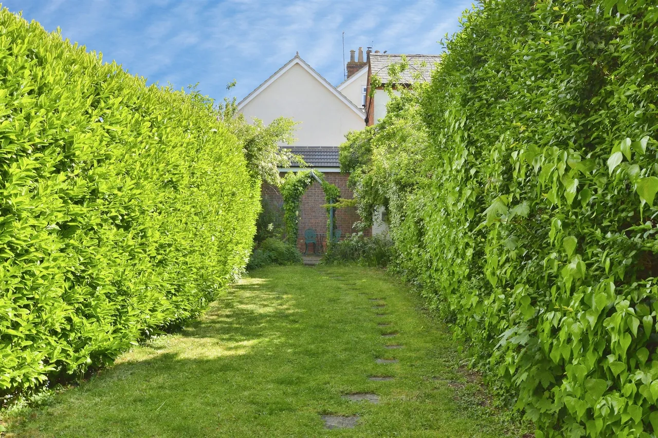 Calverton Road, Stony Stratford, MK11, photo 18