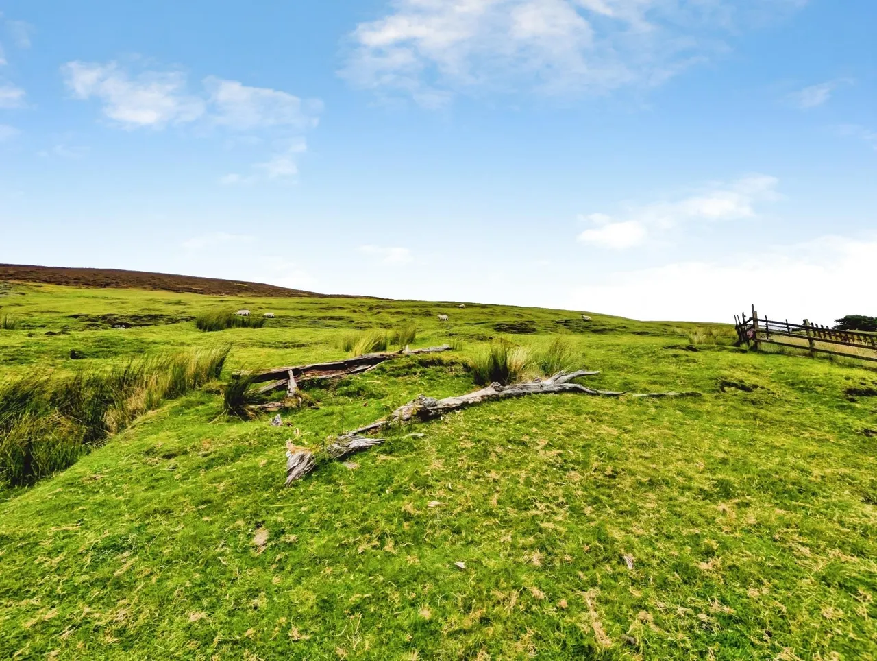 Dialknowe Cottage, Wanlockhead, ML12, photo 35