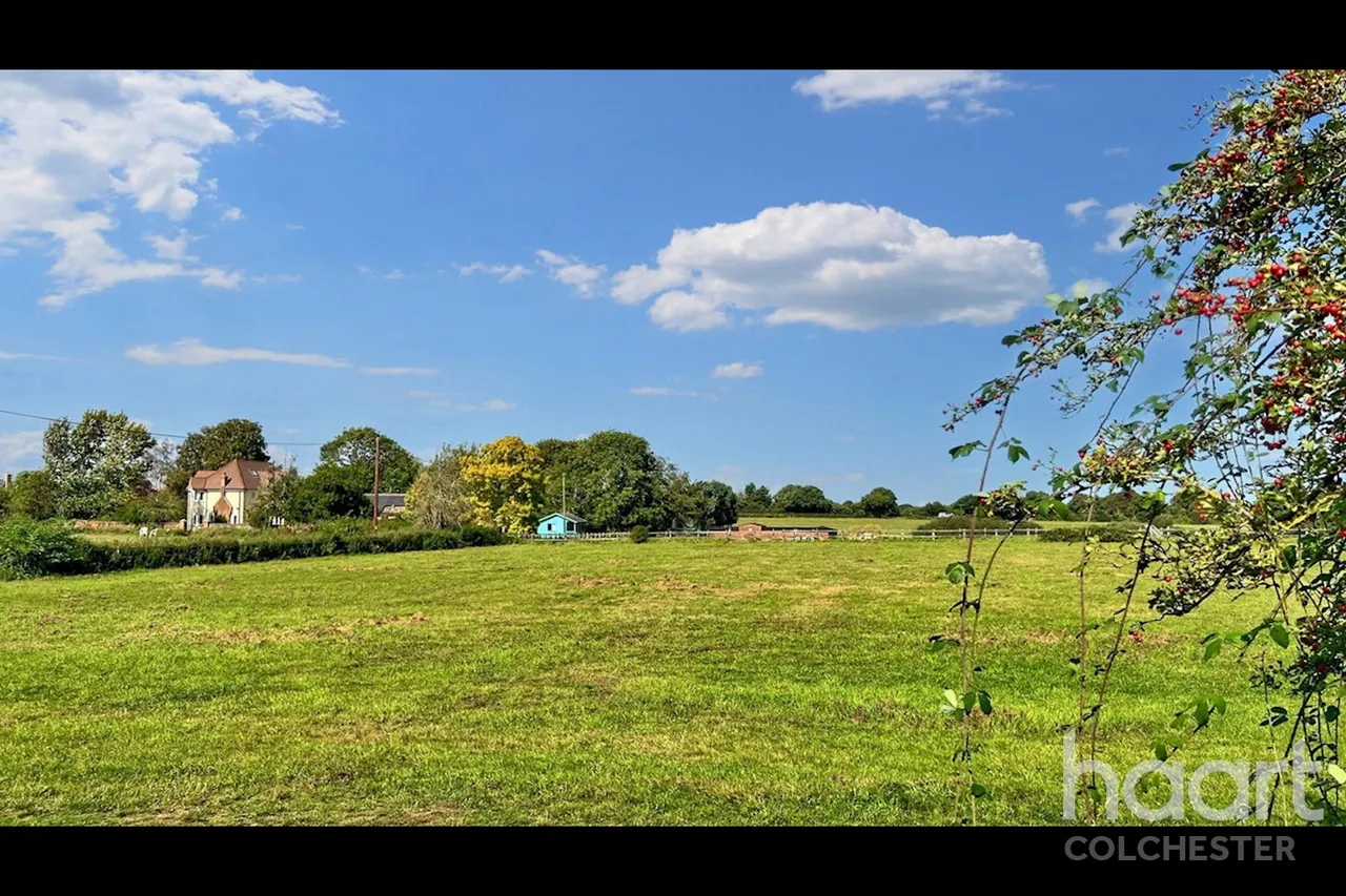 The Heath, CO11, photo 23