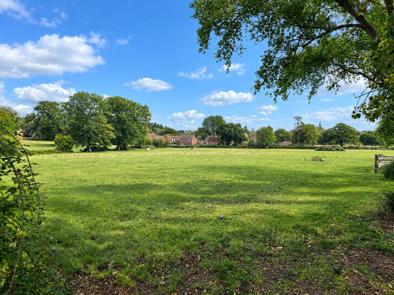 The Street, Mortimer, RG7, photo 16