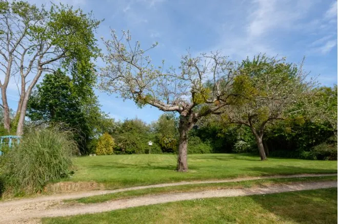 East Lambrook, South Petherton, TA13, photo 39