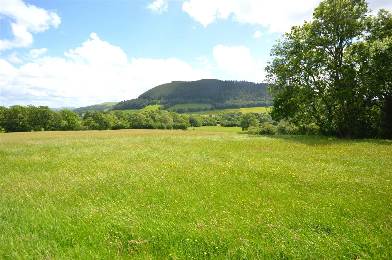 Carno, Caersws, photo 23