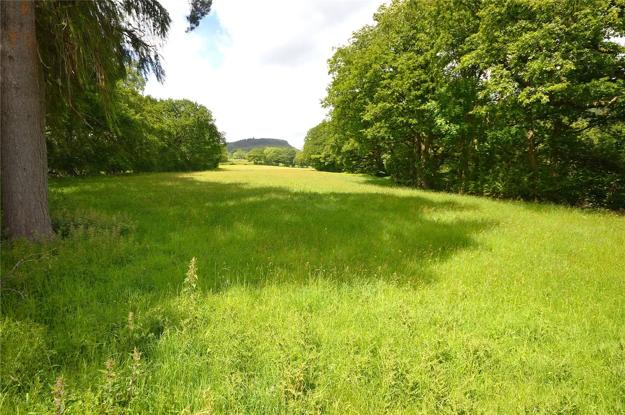 Carno, Caersws, photo 24