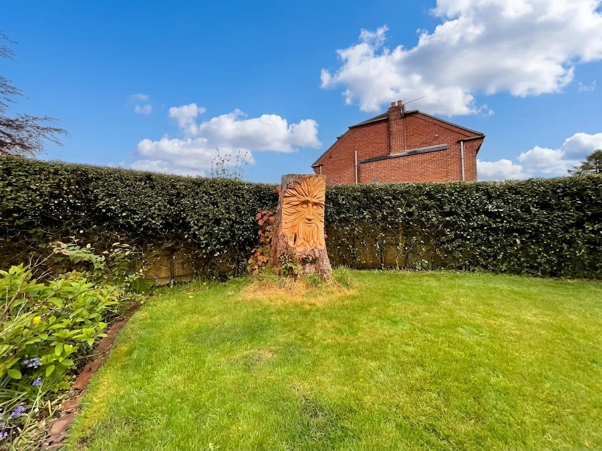 Rough Close, Stoke-On-Trent, ST3, photo 35