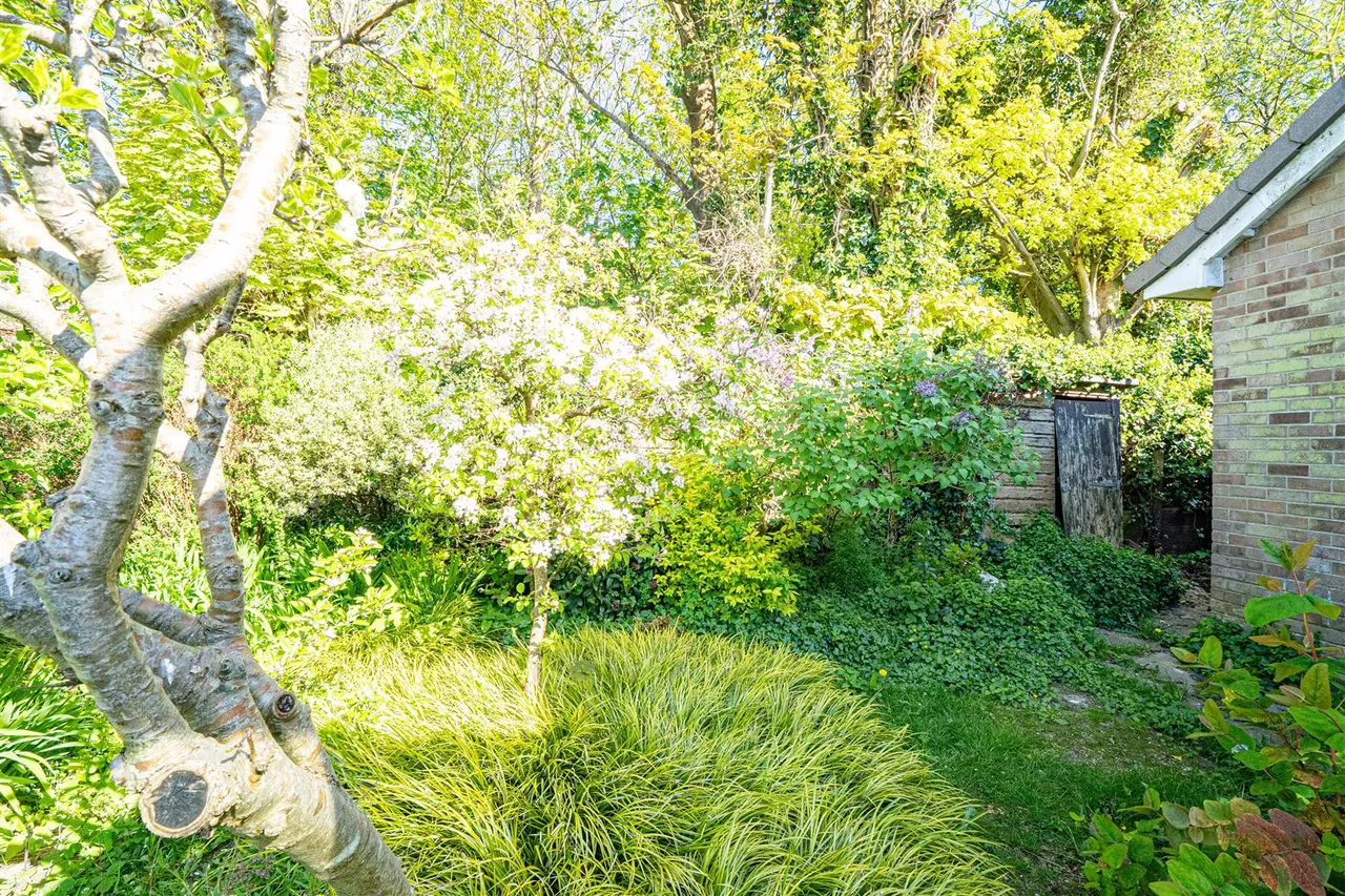 Whittingtons Way, Hastings, photo 17