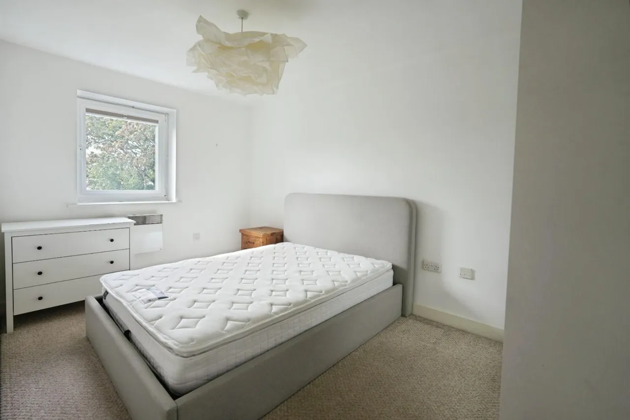 Palatine Road, Manchester, M22, photo 8