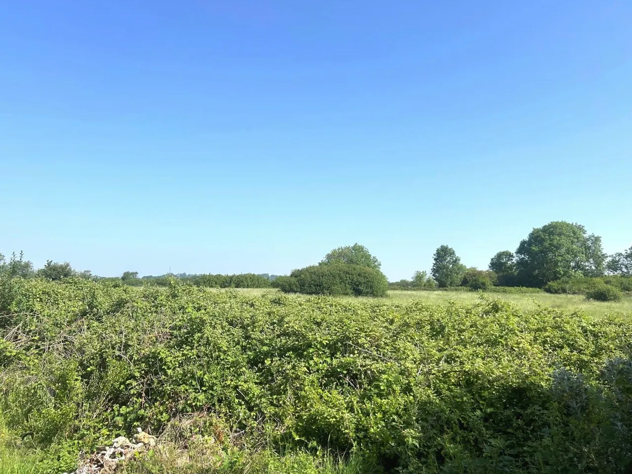 Church Lane, Upper Beeding, BN44, photo 9