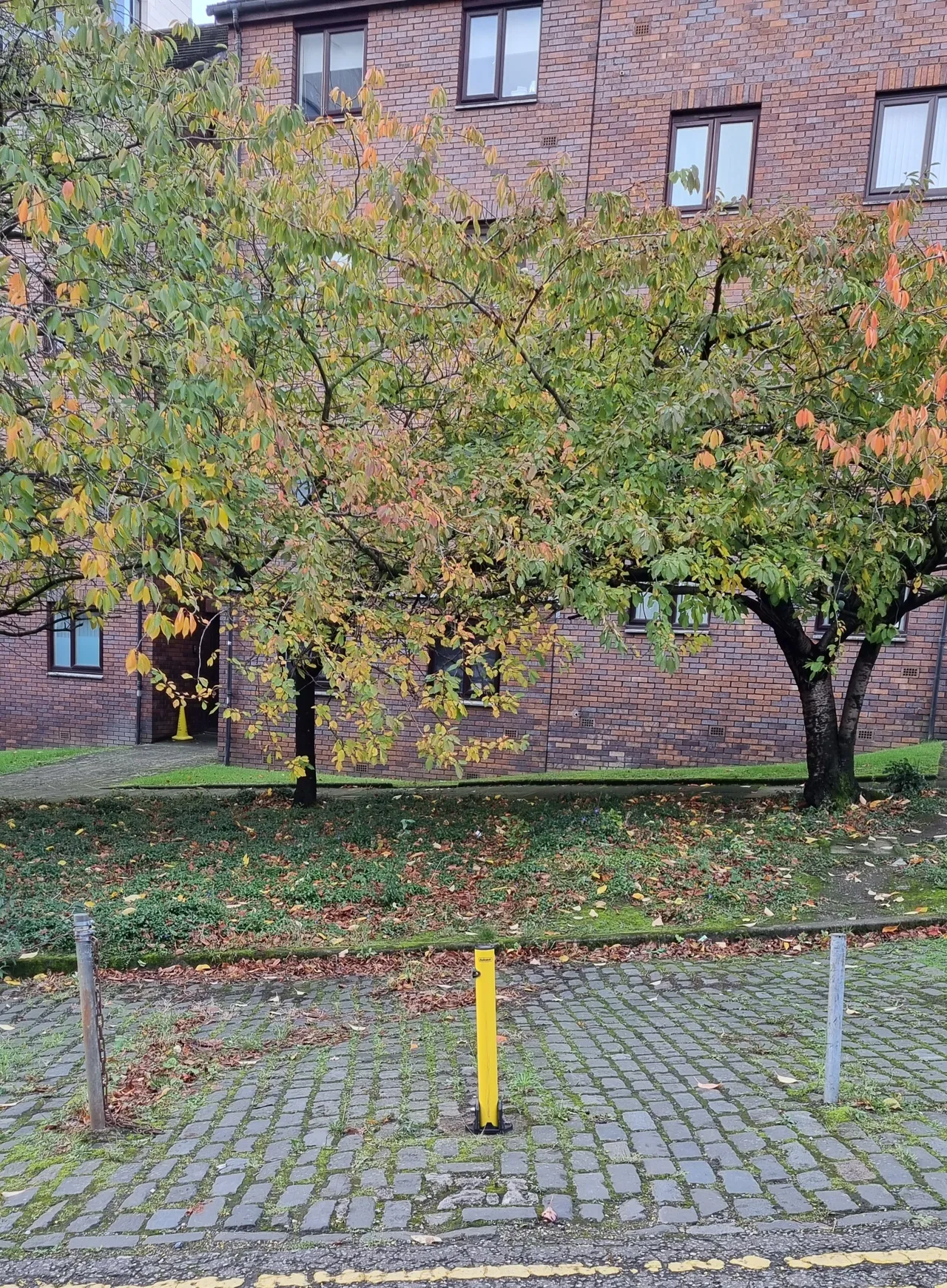 CAR PARK SPACE, NORTH HANOVER COURT, G1 2BG, photo 2
