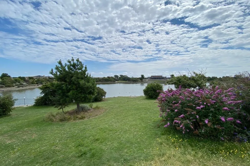 Winchelsea Road, Eastbourne, BN22, photo 21