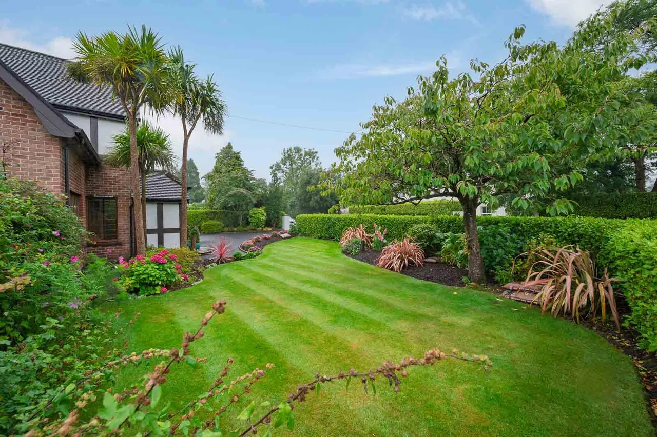Meadow Way, crawfordsburn, BT19, photo 34