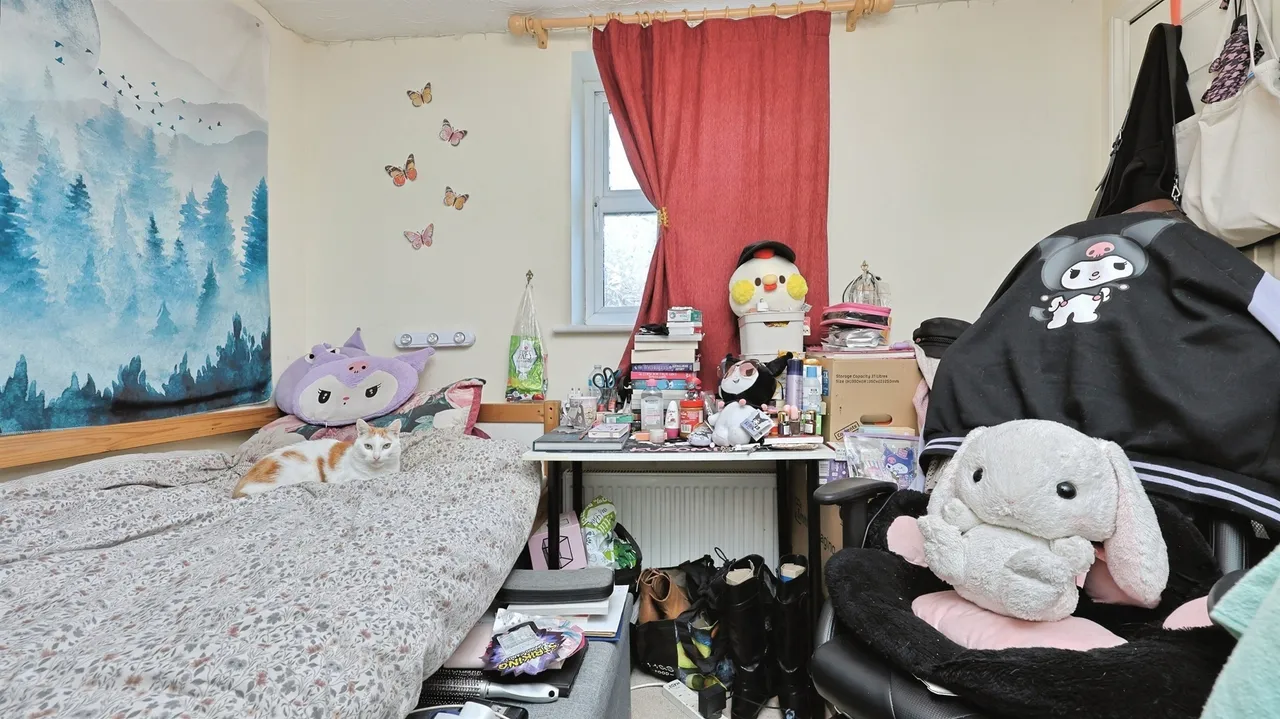 Caddow Road, Norwich, NR5, photo 10