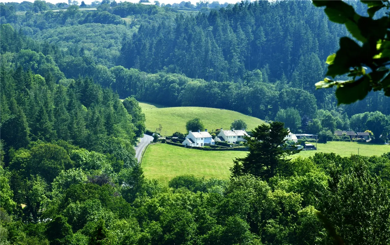 Gwel Ystwyth, Llanafan, photo 24