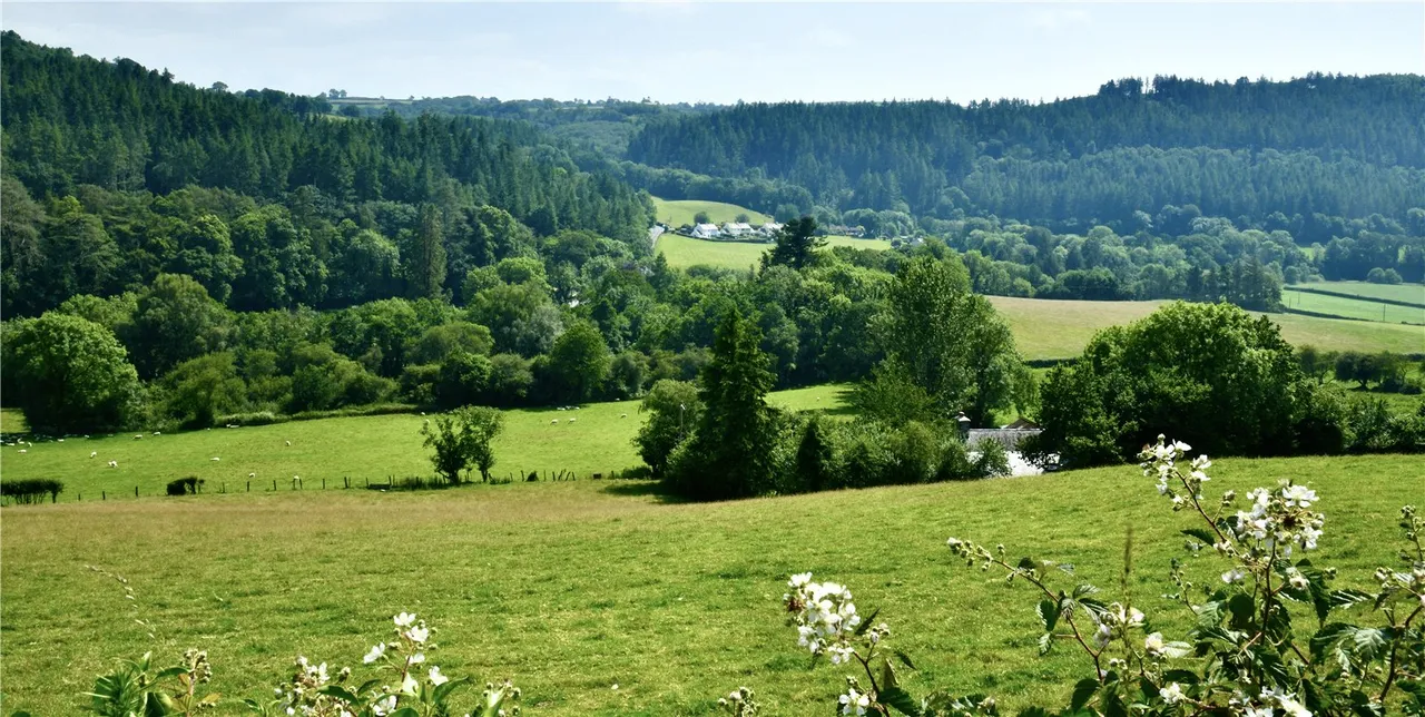 Gwel Ystwyth, Llanafan, photo 26