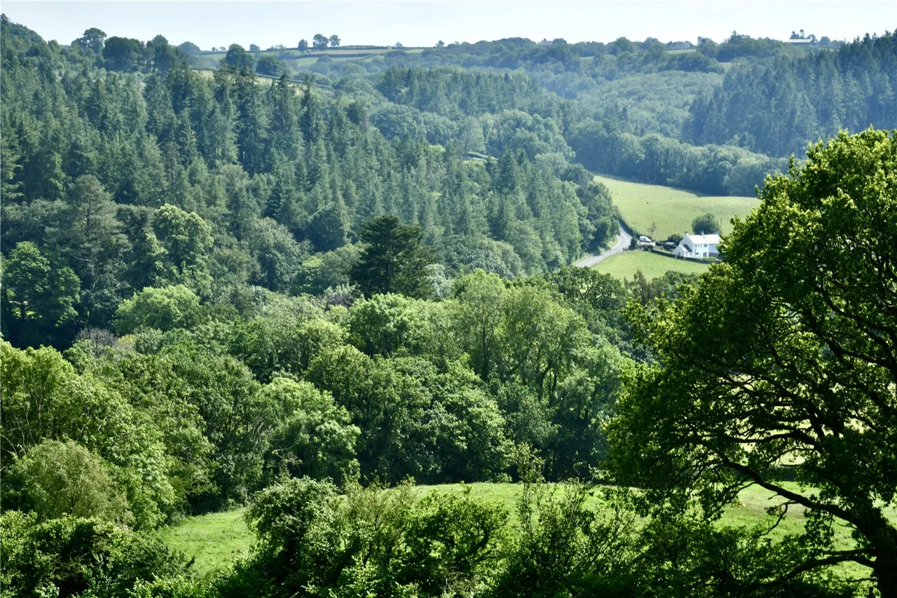Gwel Ystwyth, Llanafan, photo 22