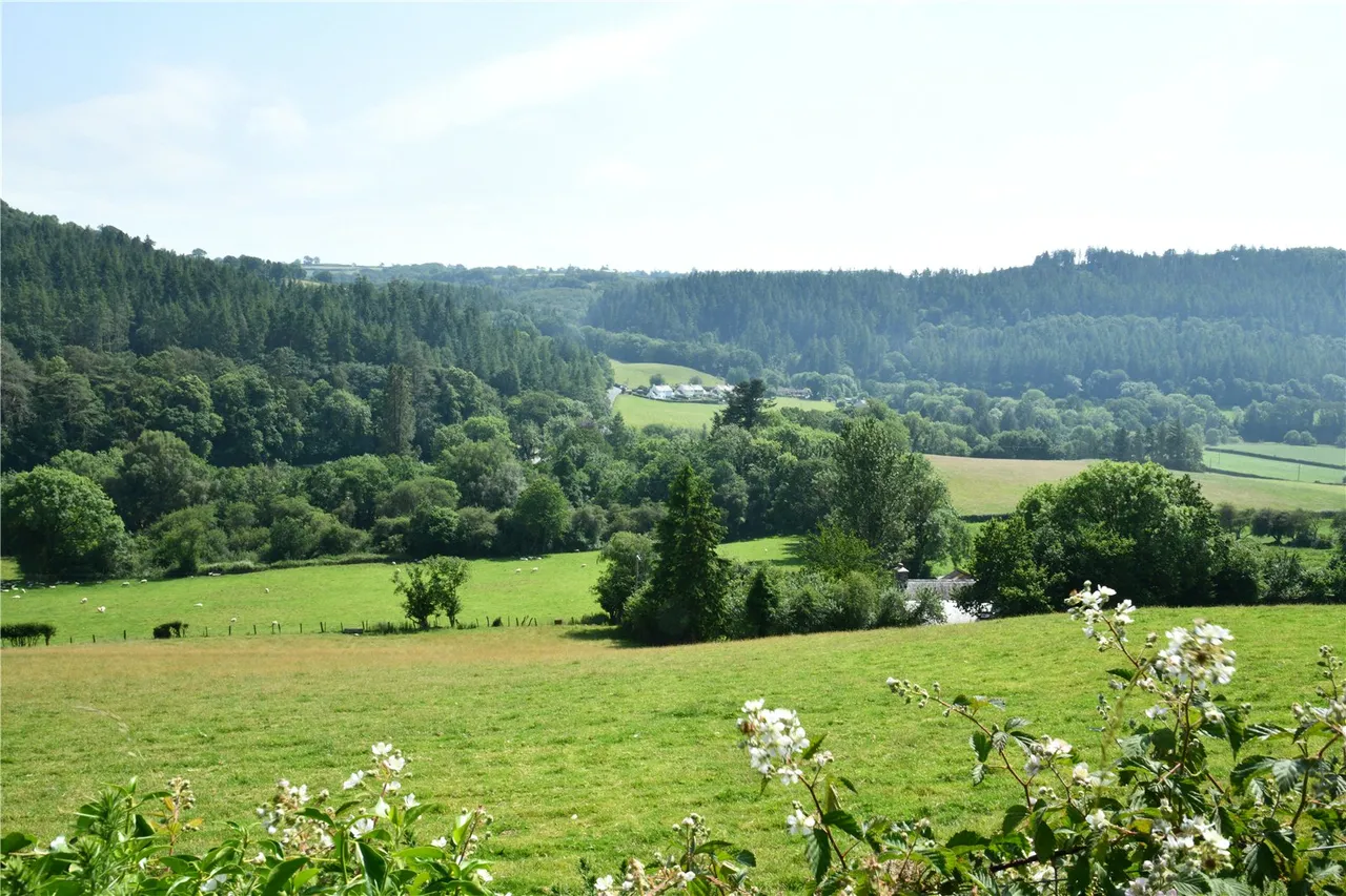 Gwel Ystwyth, Llanafan, photo 25