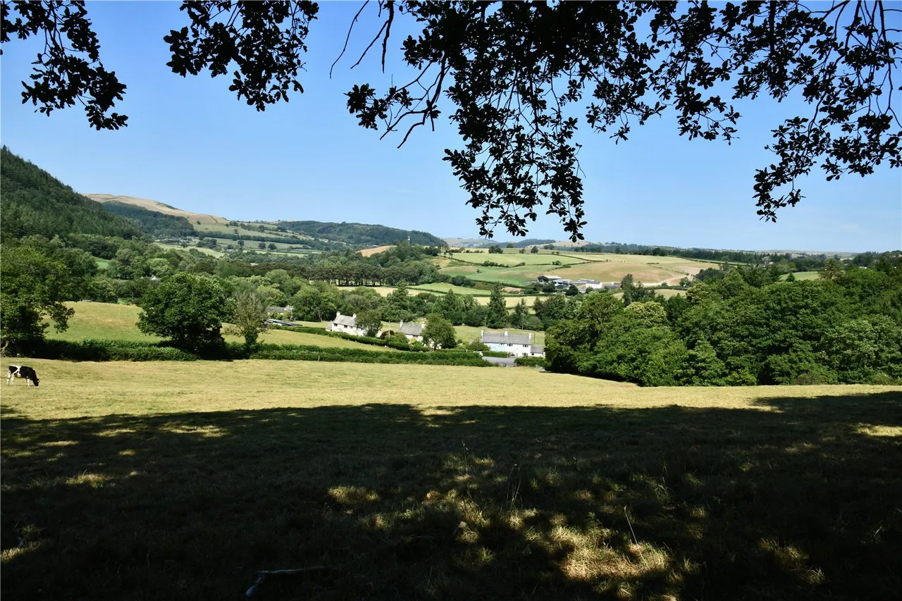 Gwel Ystwyth, Llanafan, photo 4