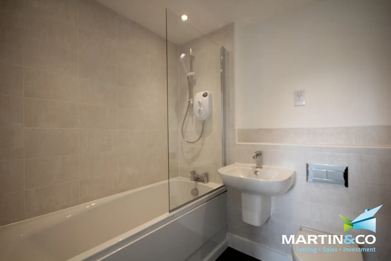 Ebenezer Street, West Bromwich, B70, photo 7