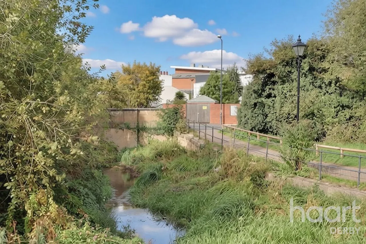 Searl Street, Derby, DE1, photo 13