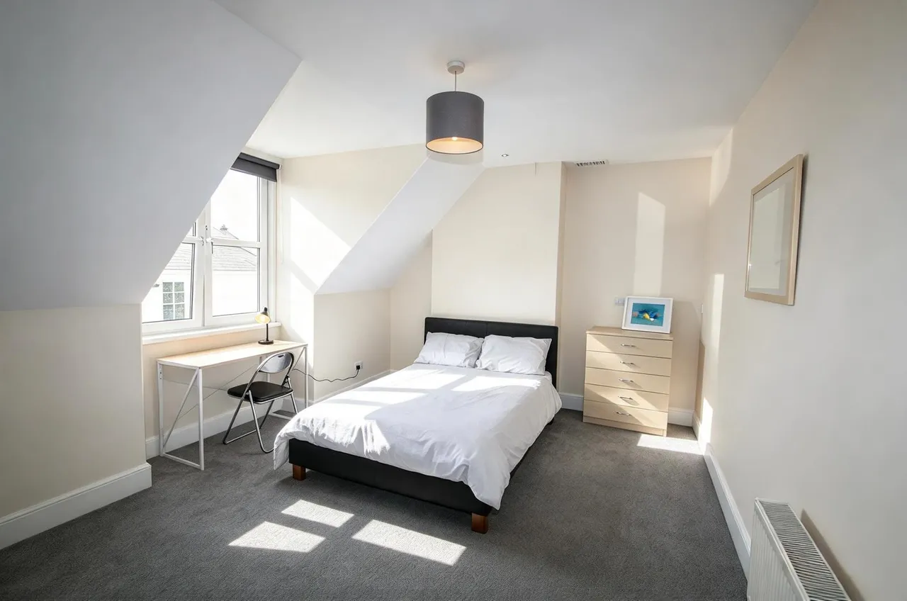 Magdalen Road, Exeter, photo 12