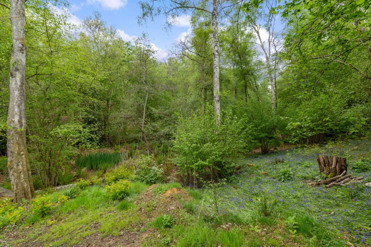 Pitch Place, Thursley, GU8, photo 21