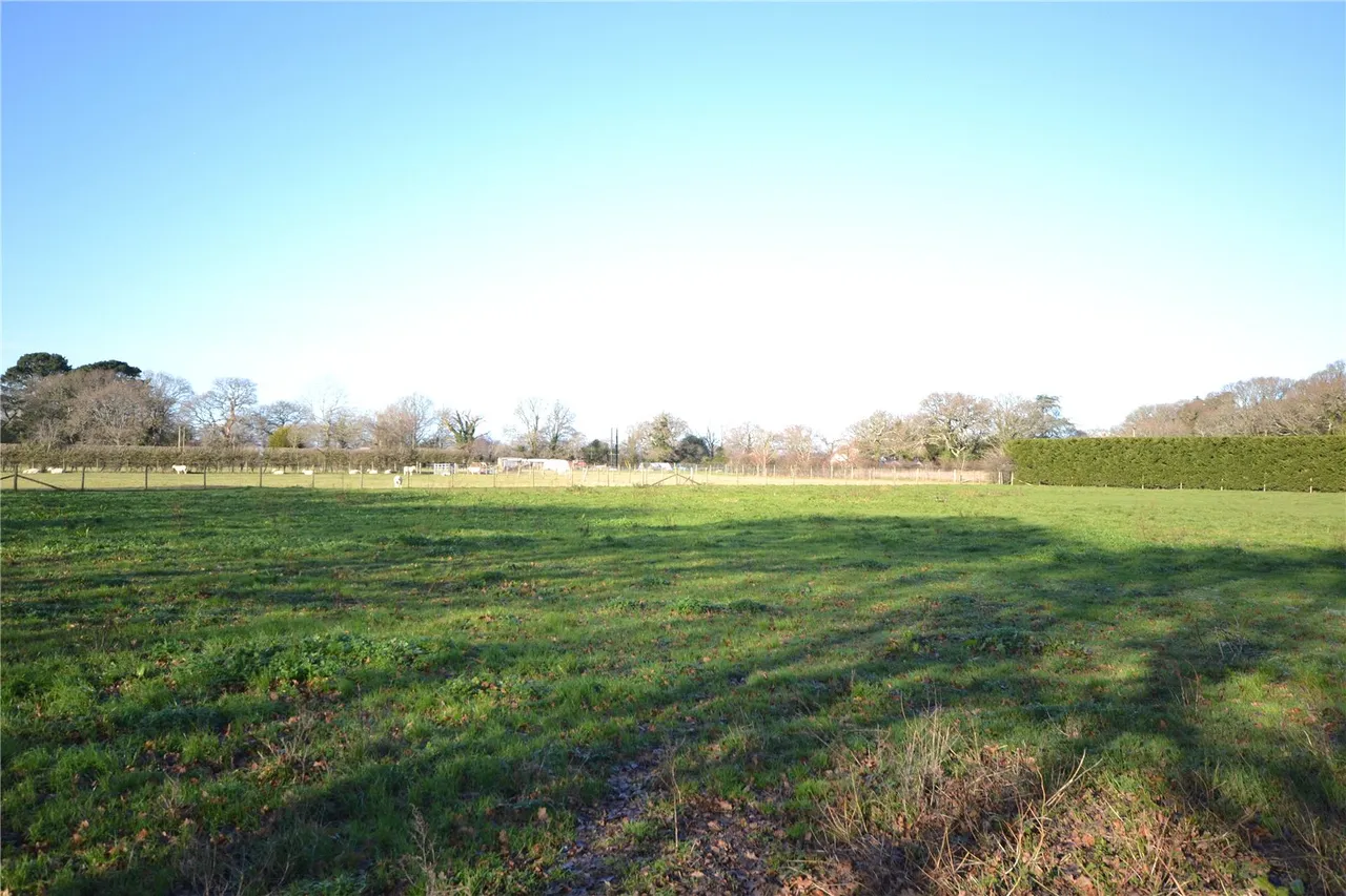 Lymington Road, Brockenhurst, SO42 7UF, photo 7