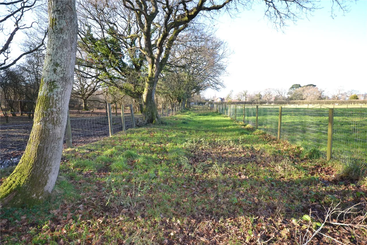 Lymington Road, Brockenhurst, SO42 7UF, photo 9