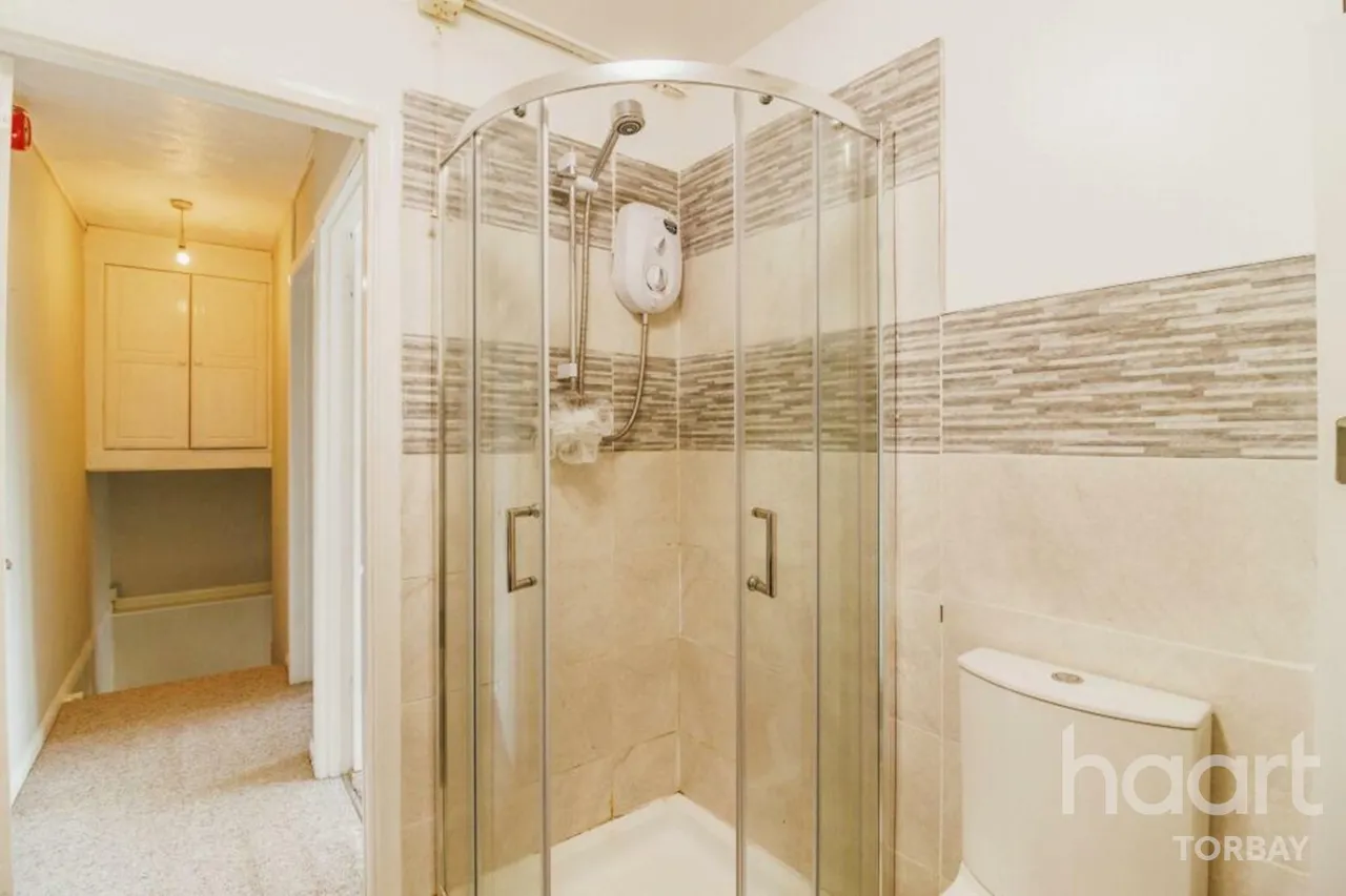 Blagdon Barton, Paignton, TQ4, photo 8