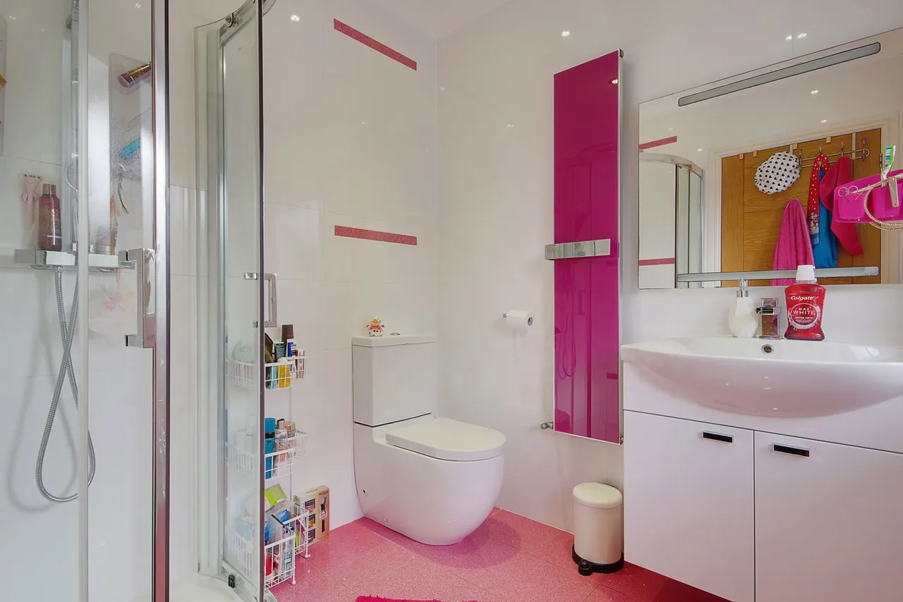 Portchester Road, Bournemouth, BH8, photo 23