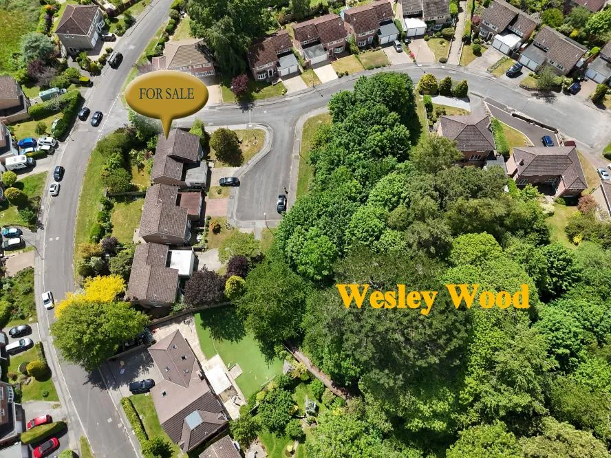 Pine Tree Close, Wimborne, BH21, photo 25