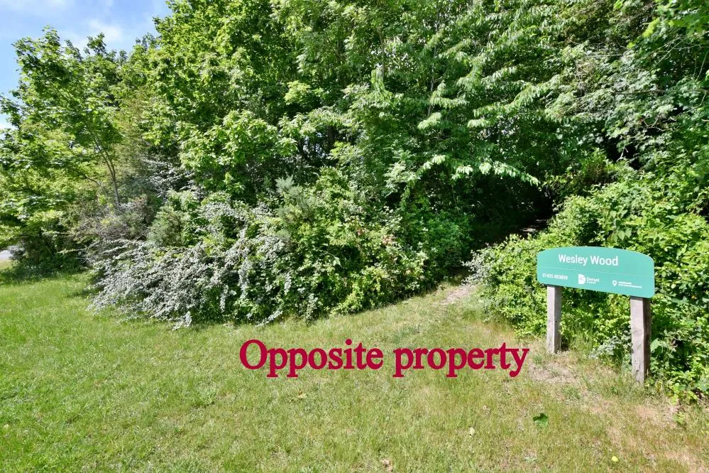 Pine Tree Close, Wimborne, BH21, photo 24