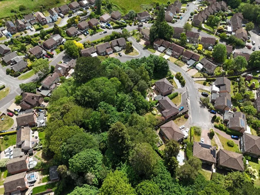 Pine Tree Close, Wimborne, BH21, photo 33