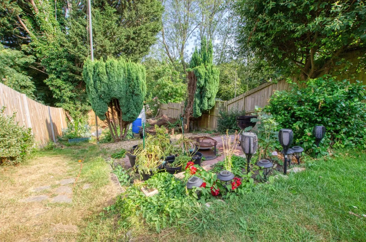 Archery Grove, Southampton, SO19 9EY, photo 12