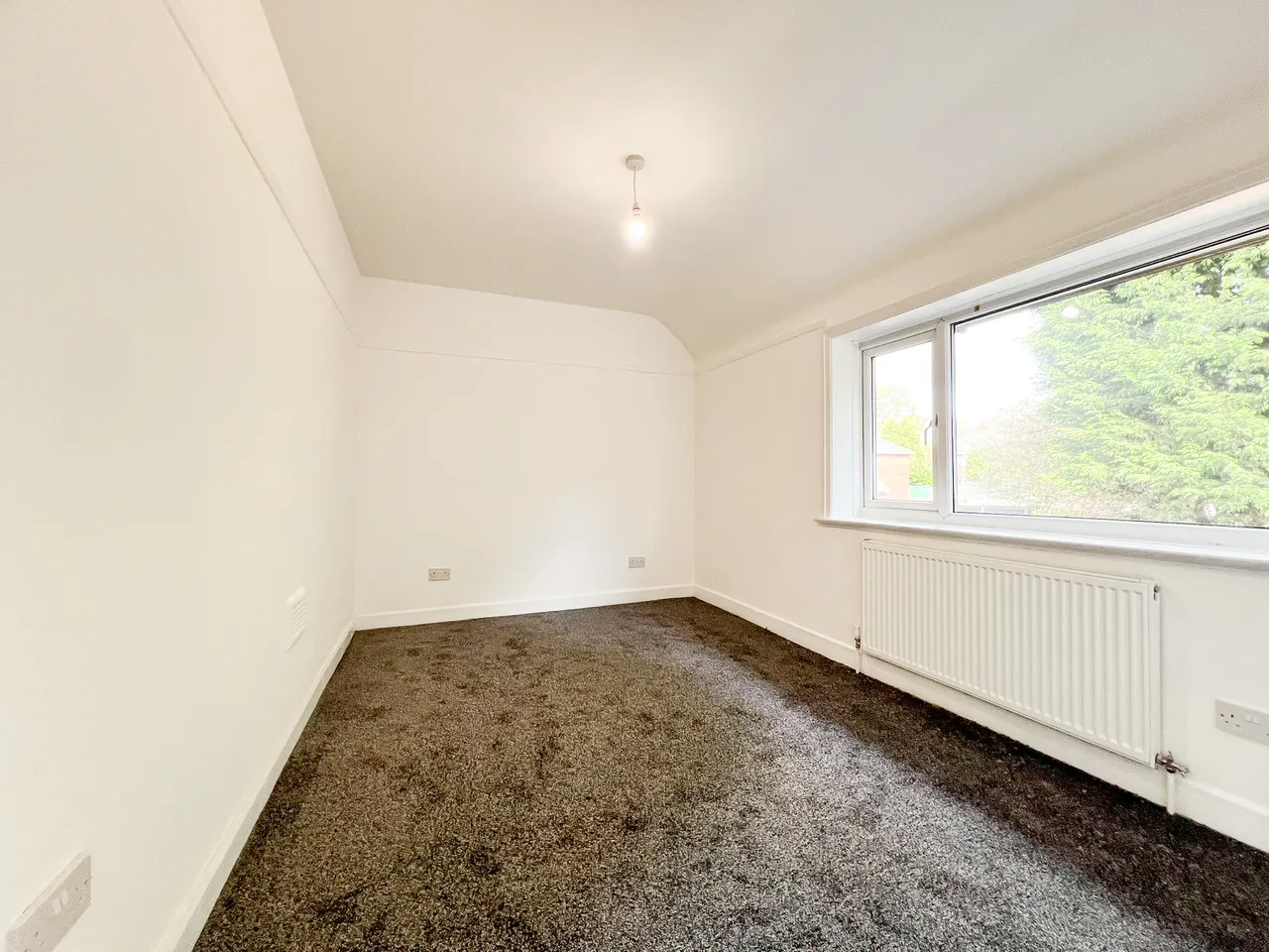 Louisa Street, Openshaw, M11, photo 10
