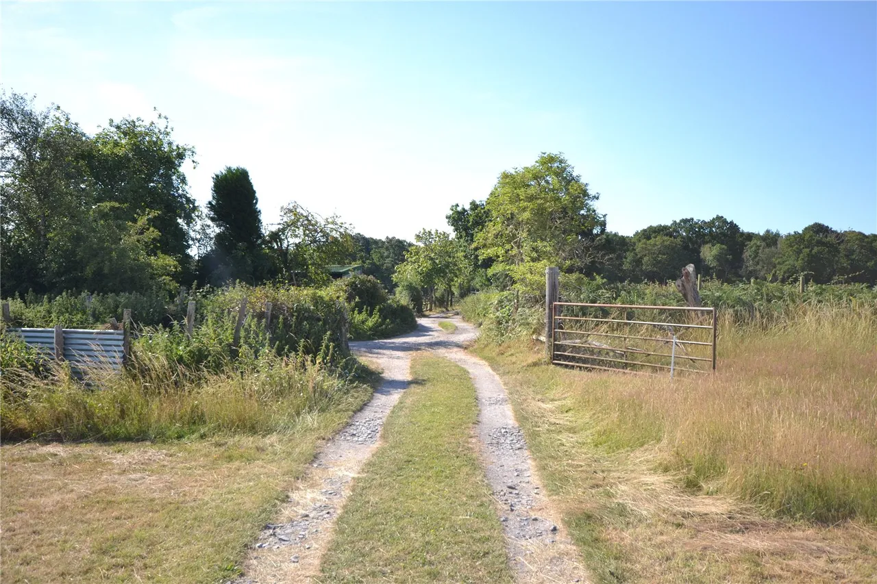 Exbury Road, Beaulieu, Brockenhurst, Hampshire, SO42 7YS, photo 7