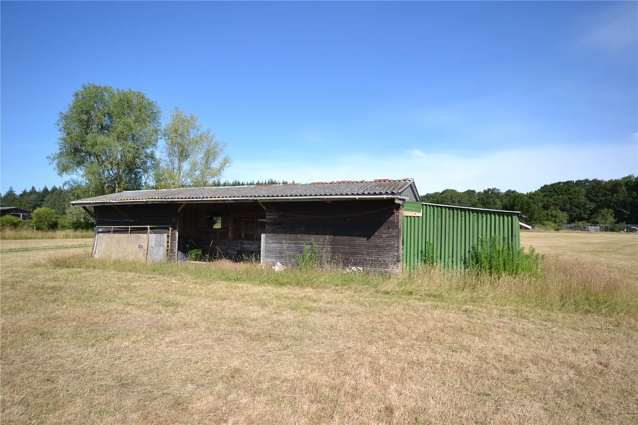 Exbury Road, Beaulieu, Brockenhurst, Hampshire, SO42 7YS, photo 5
