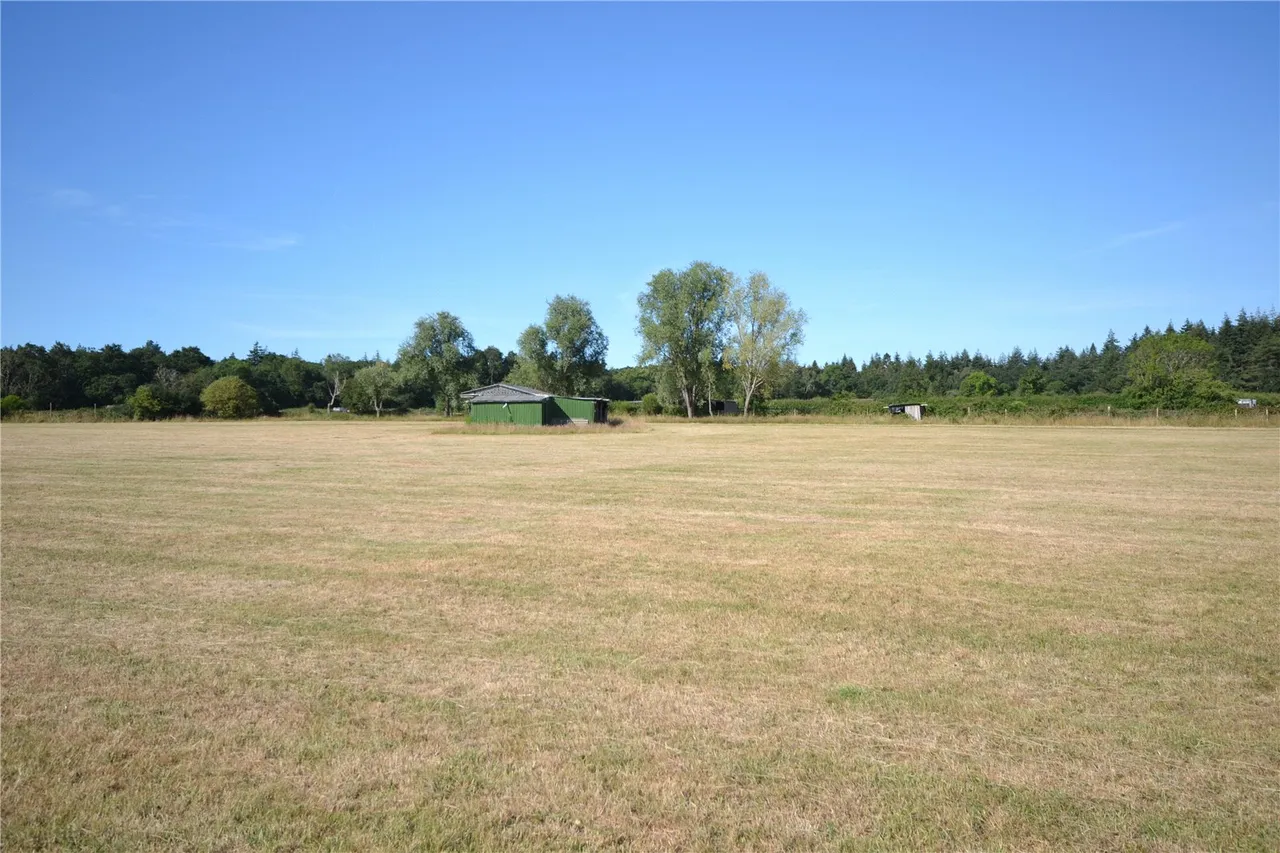 Exbury Road, Beaulieu, Brockenhurst, Hampshire, SO42 7YS, photo 4