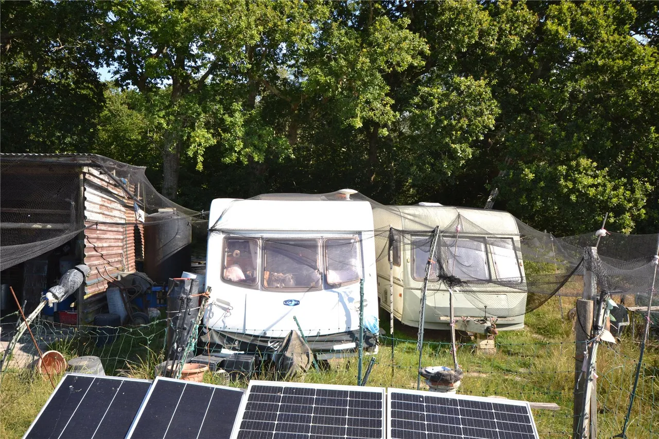 Exbury Road, Beaulieu, Brockenhurst, Hampshire, SO42 7YS, photo 3