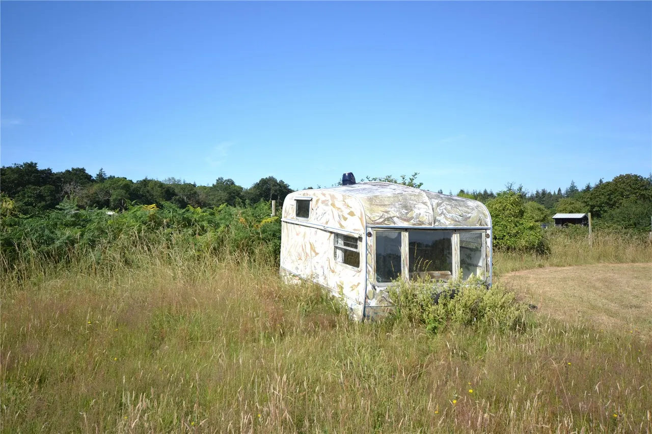 Exbury Road, Beaulieu, Brockenhurst, Hampshire, SO42 7YS, photo 9