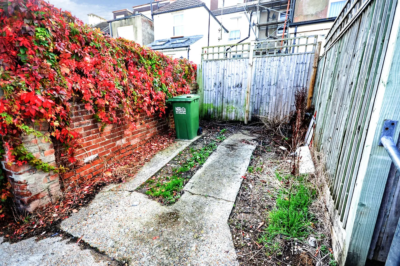 Willingdon Road, Eastbourne, BN21, photo 10