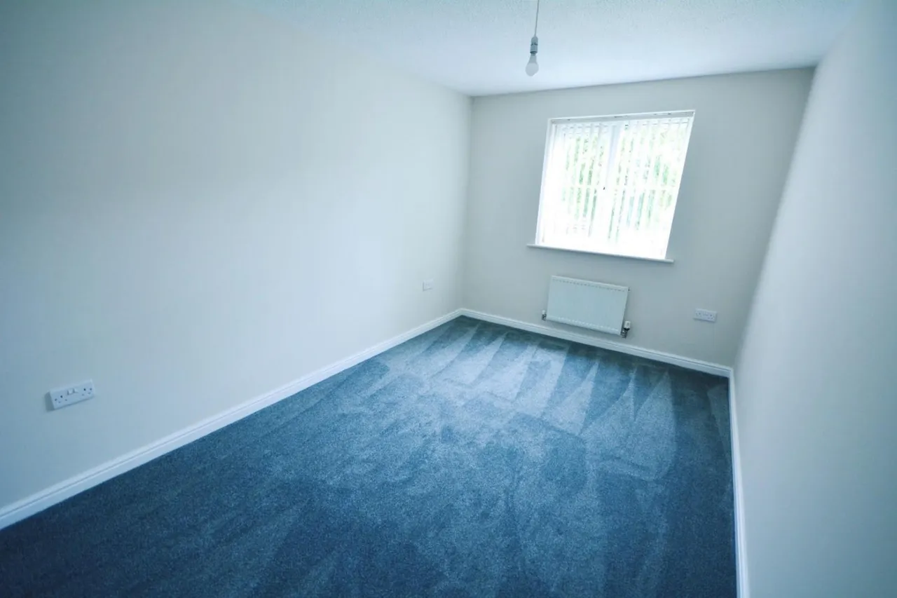Warner Avenue, St. Helen Auckland, DL14, photo 11