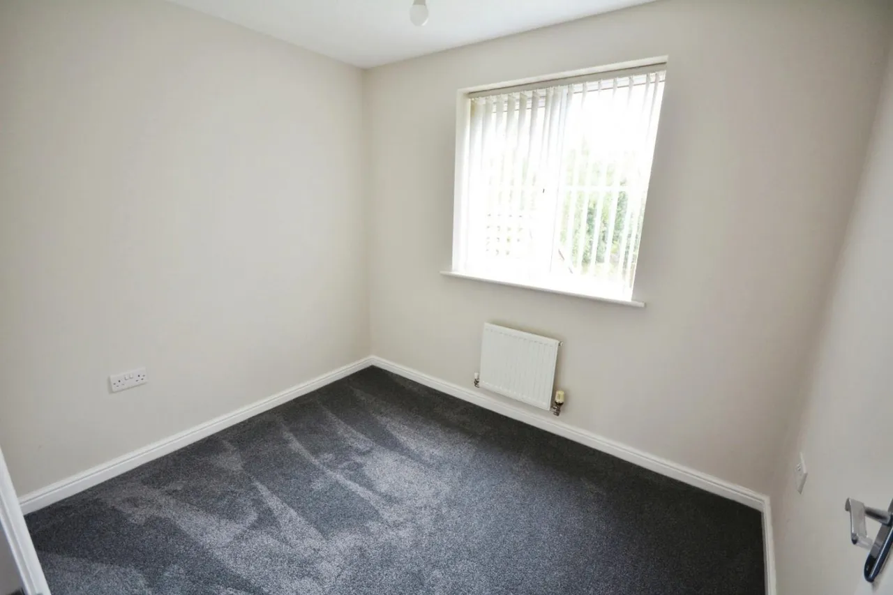 Warner Avenue, St. Helen Auckland, DL14, photo 10
