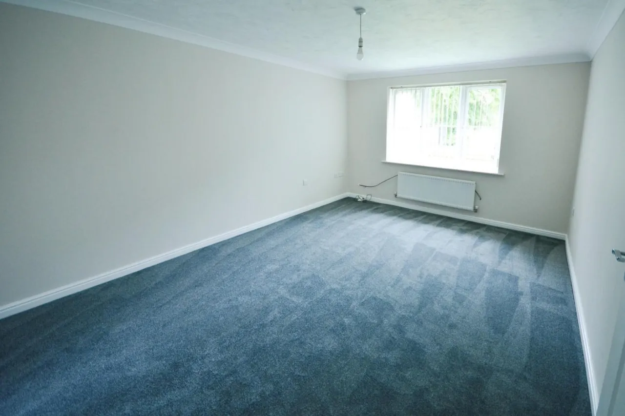 Warner Avenue, St. Helen Auckland, DL14, photo 2