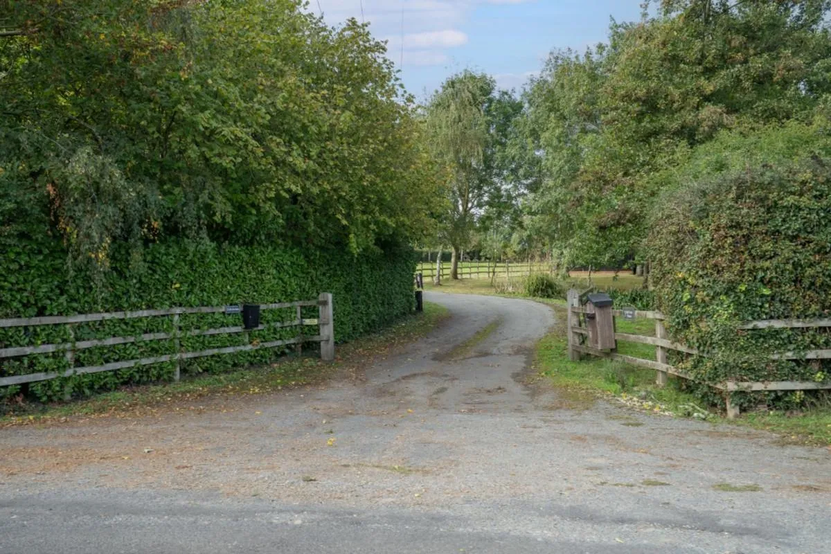 Low Common, Wymondham, NR18, photo 23