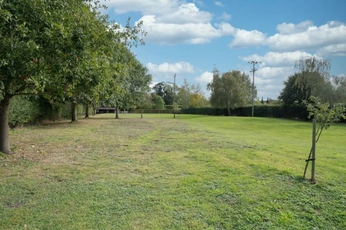 Low Common, Wymondham, NR18, photo 32
