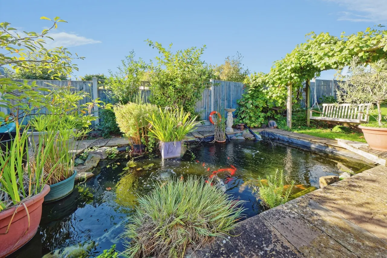 Monkton Street, Monkton, CT12, photo 21